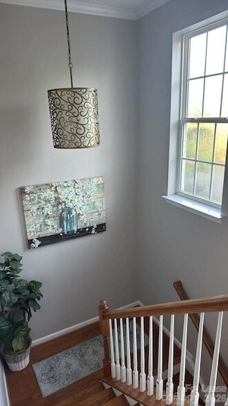 Building Photo - 11729 Royal Castle Ct