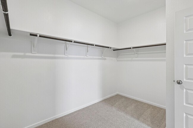 Building Photo - 4215 Pne Spgs Ct