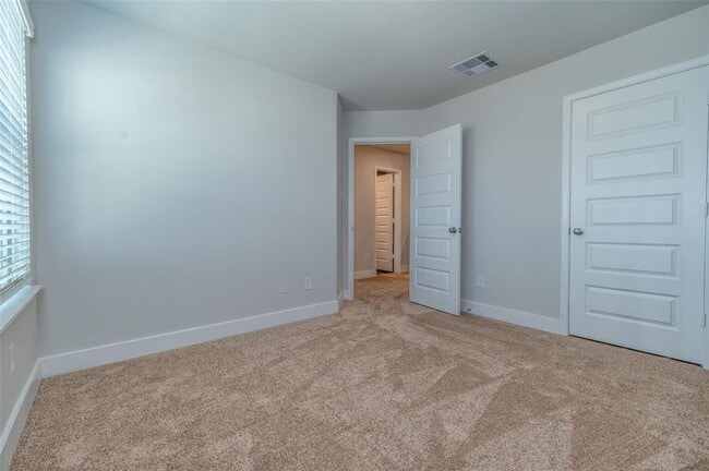 Building Photo - 4417 Ibiza Ln