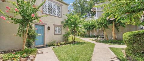 Primary Photo - 3611 Las Colinas Dr