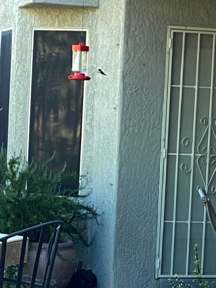 Building Photo - 15082 W Cactus Ridge Way