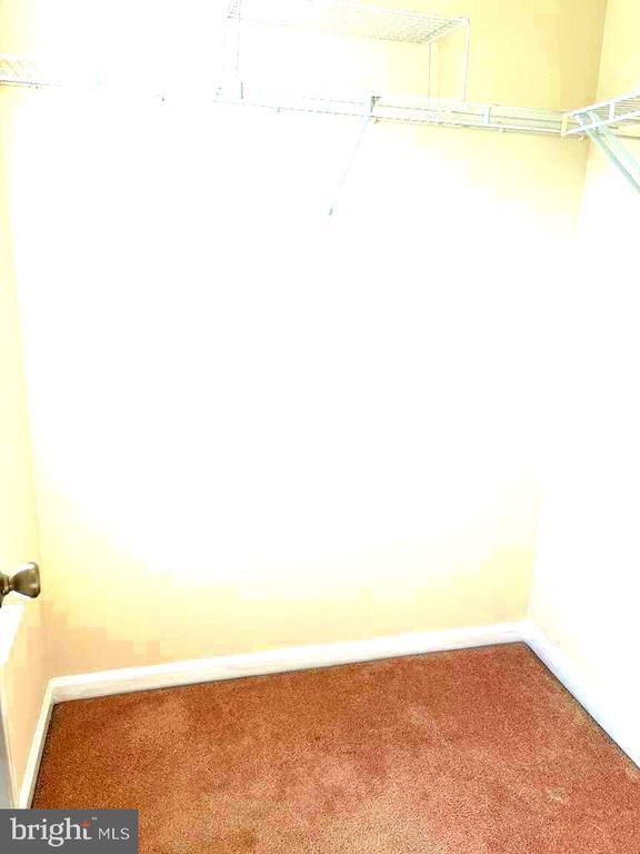 Building Photo - 3269 Halcyon Ct