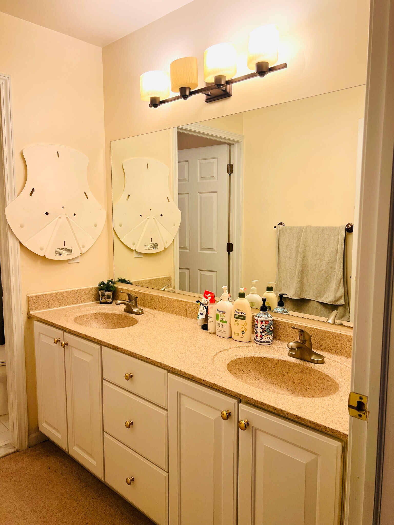 2nd Bathroom - 2914 Leslie Park Cir