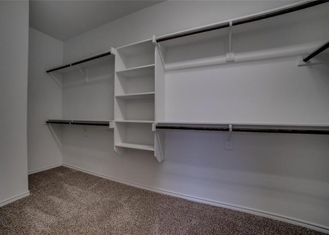 Building Photo - 2408 Windhaven Dr