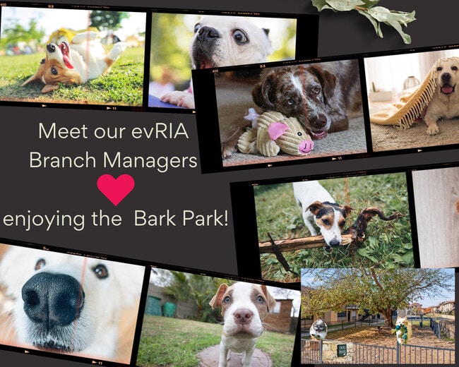 Bark Park Pets – evRIA Terraces - Evria Terraces (NEW) Apartments