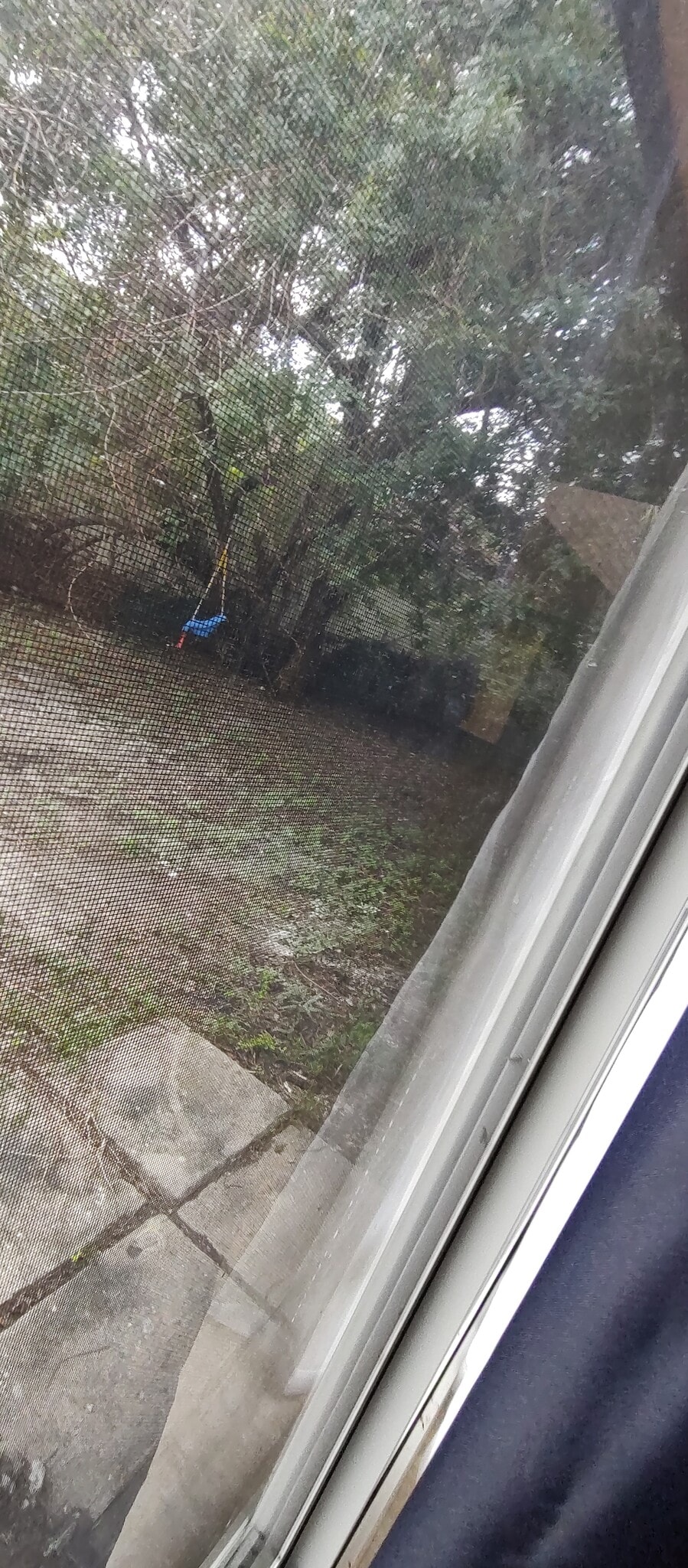 View into your private fenced yard - 12126 Gibbs Rd