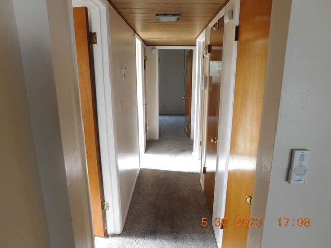 Building Photo - Comfy 3 bed 2 bath