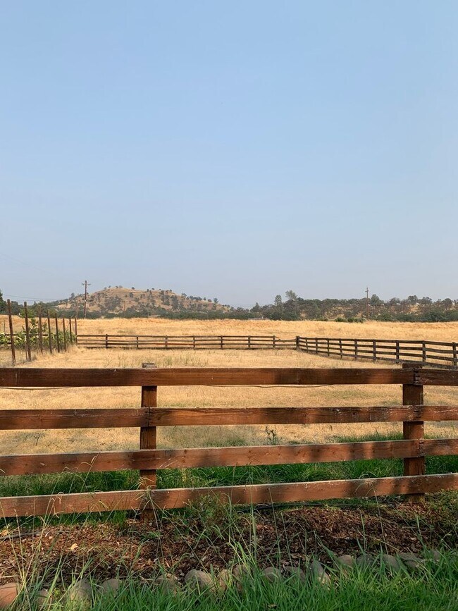 Building Photo - Butte Valley 3 bed 2 bath home, Privacy, n...