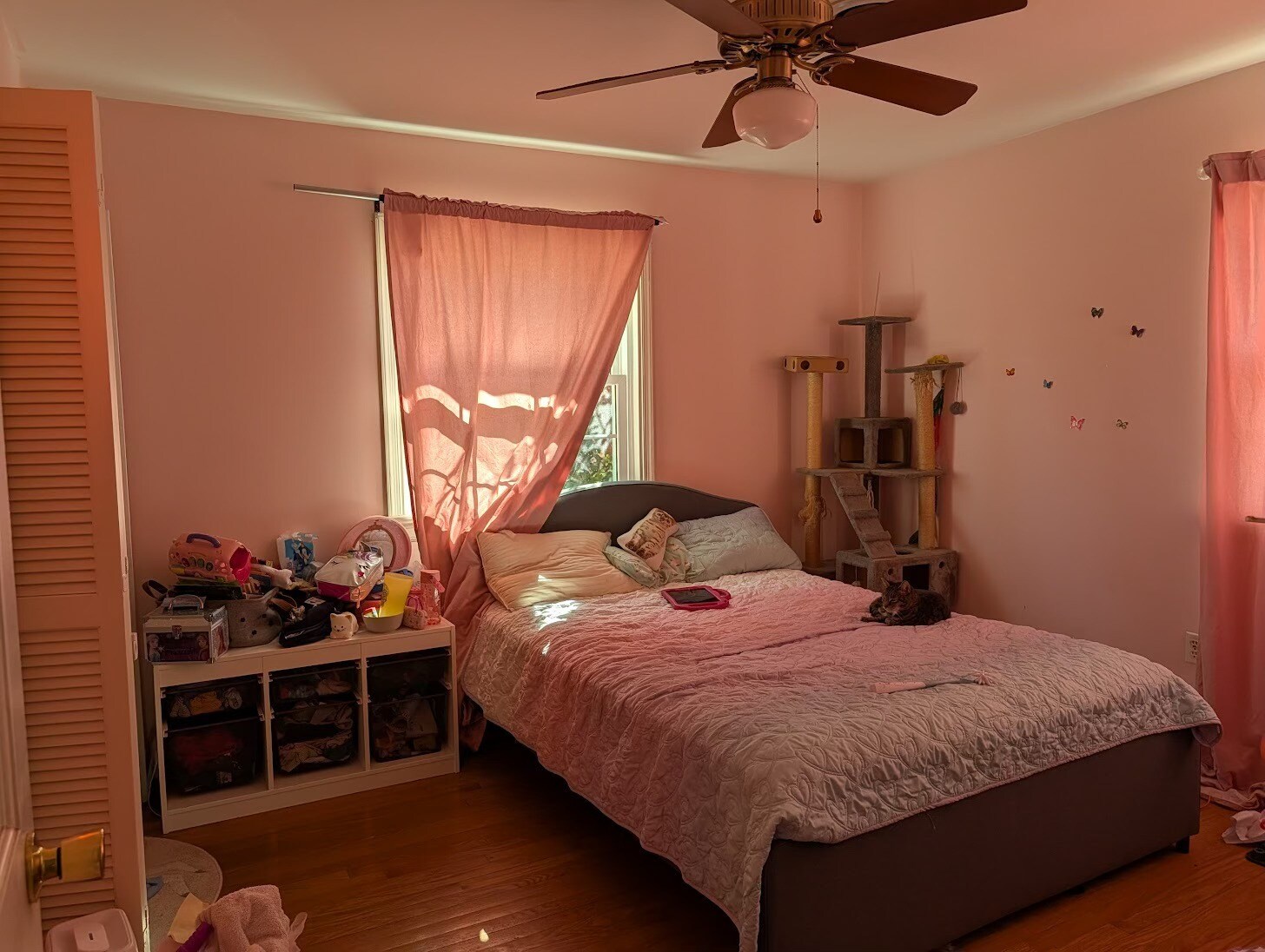 Building Photo - 4416 Cochise Trl