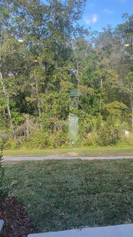 Building Photo - 4601 Sparkling Shell Ave