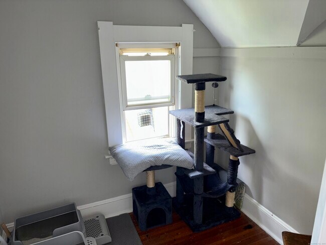 Building Photo - 37 Hungerford Ave