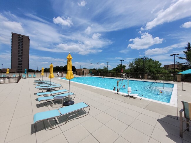 Pool & Sundeck - 3709 S George Mason Dr