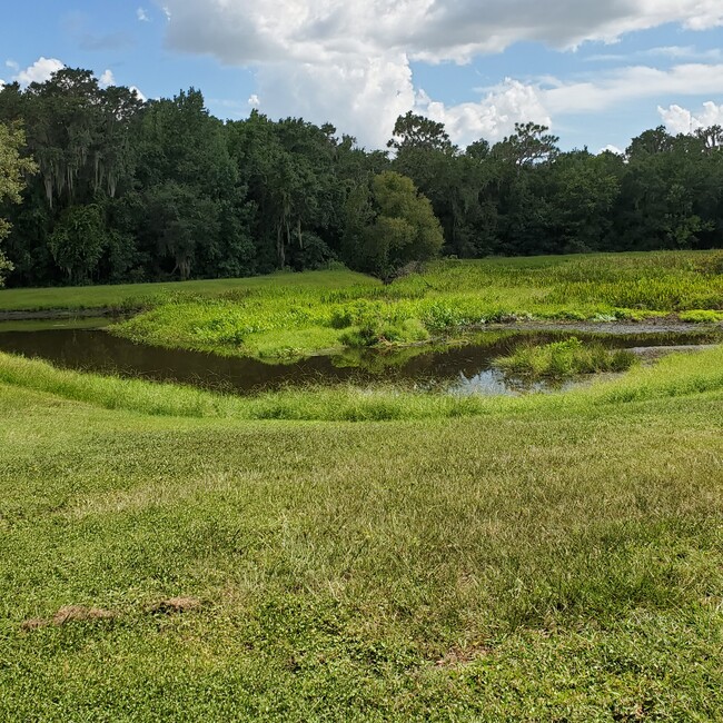 Pond view with spacious grassy area - 5808 Fishhawk Ridge Dr