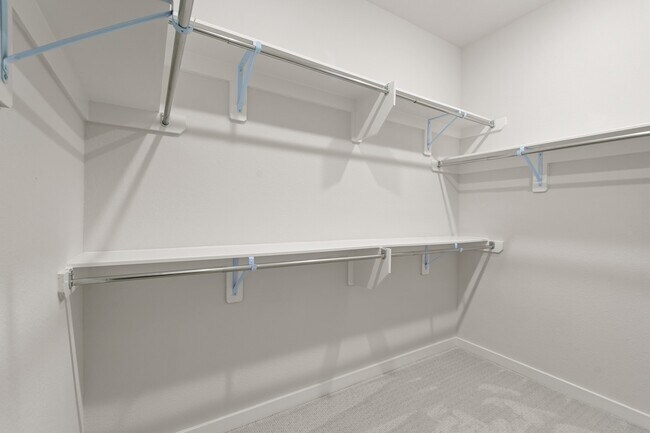 Primary Photo - 6579 Scarlet Pond Ln