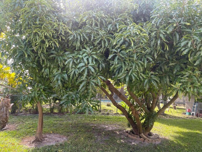 Building Photo - 1072 SW Castaneda Ln