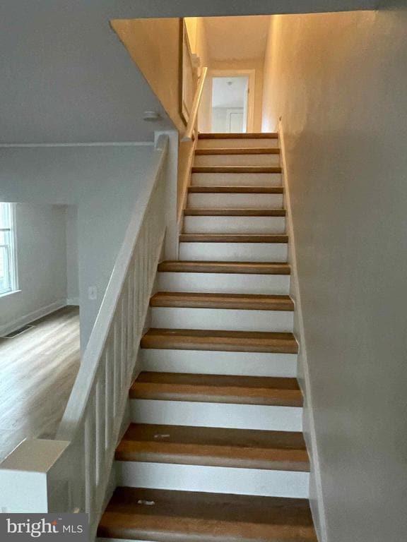 Building Photo - 1235 Maple St