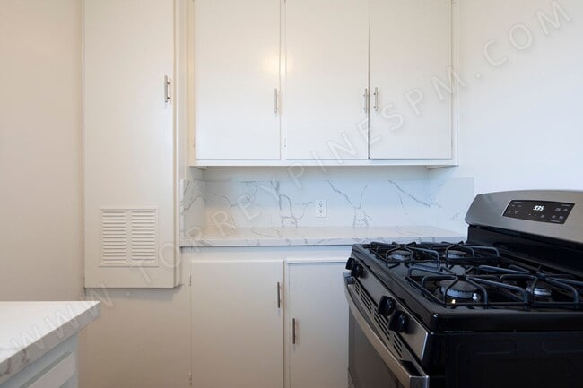 Building Photo - OPEN HOUSE: 1/24 3-4PM ~ 1 MONTH FREE!  2BR in Great Pacific Beach Location!