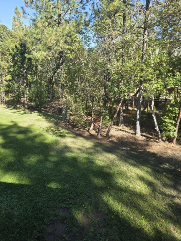 Building Photo - 3806 Jumpoff Joe Creek Rd