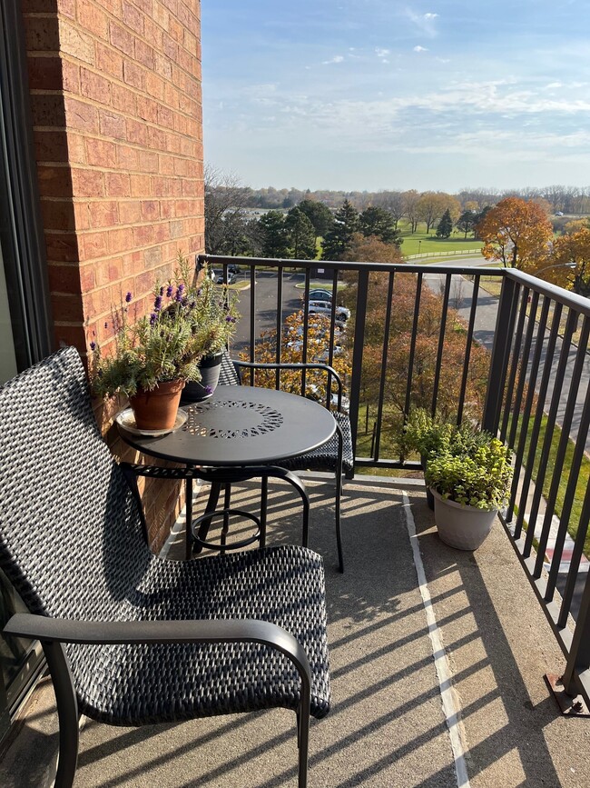 Balcony - 950 E Wilmette Rd