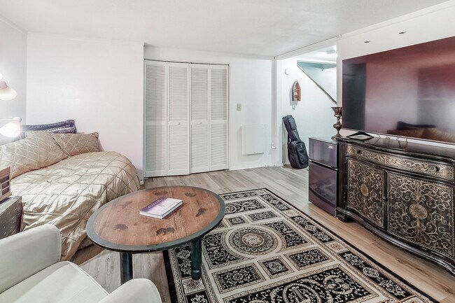 Building Photo - FRISCO ! Furnished! 1 pet negotiable!  An Artist's retreat! Must see.