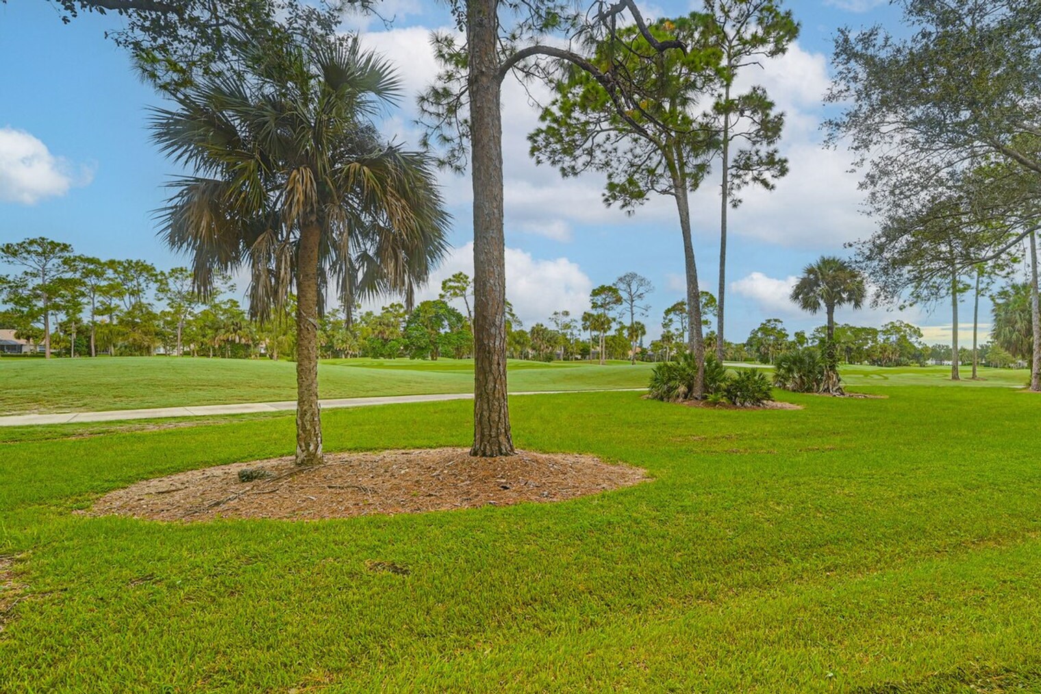 Building Photo - 8075 Tiger Cove