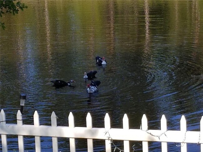 Building Photo - 237 N Hidden Tree Dr