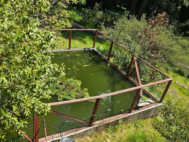 Building Photo - Large and stunning home in rural Sebastopol!