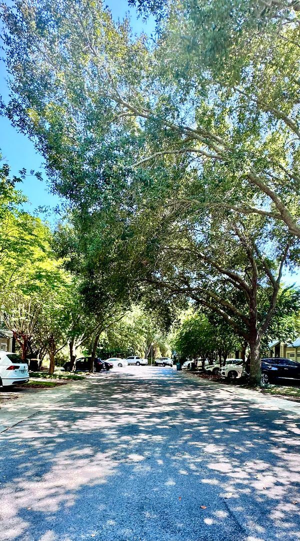 Building Photo - Adorable 3B/2.5B Unfurnished Townhome loca...