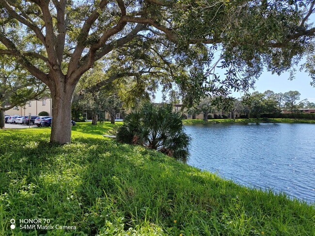 Building Photo - Rent to Own Bright 2B/1B Condo – St. Andrews Cove, Clearwater