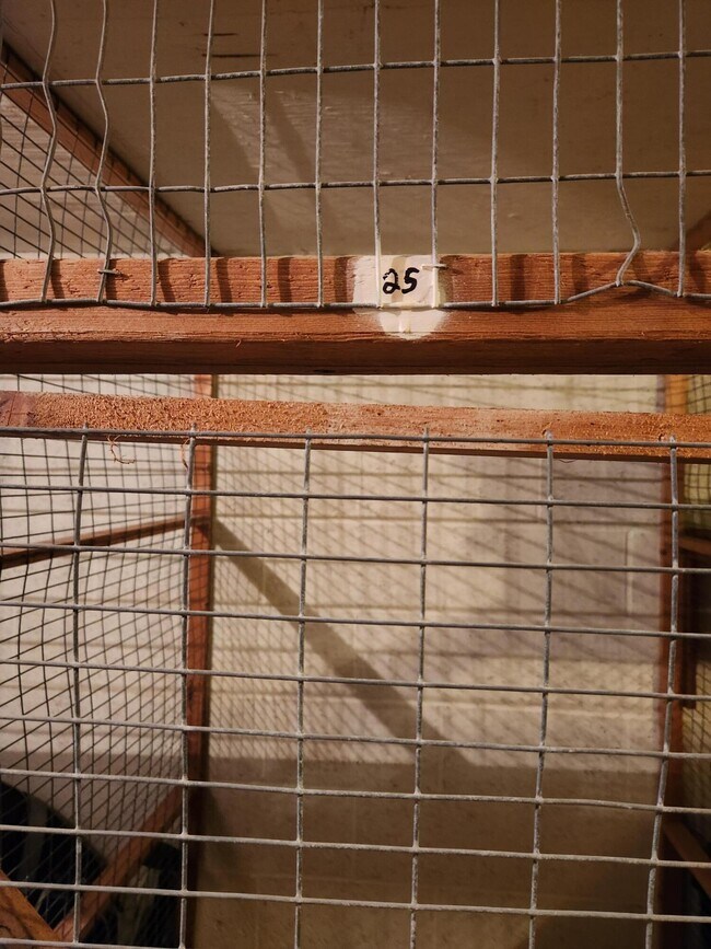 Building Photo - 1000 Spanish River Rd