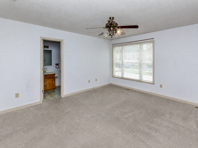 Building Photo - Charming 3BR/2BA One-Level Home with Vaulted Ceilings — Minutes to Fort Gregg-Adams — $1,795/mo!