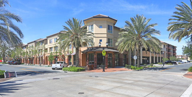 Primary Photo - Siena Court Senior Housing