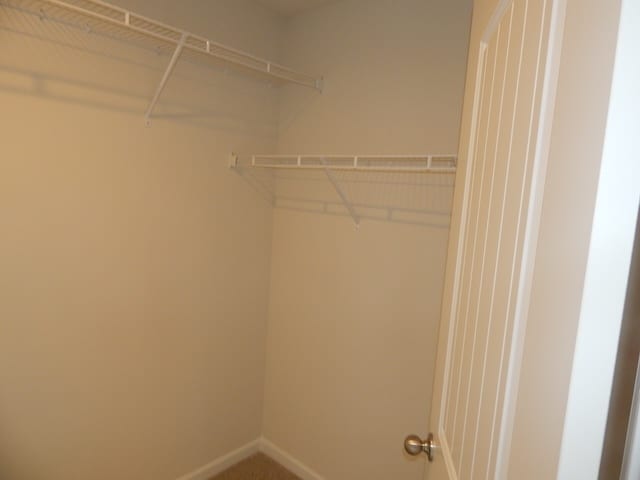 Building Photo - 784 Rocky Ridge Cir