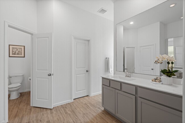 Building Photo - 3612 Paloma Fls Ln