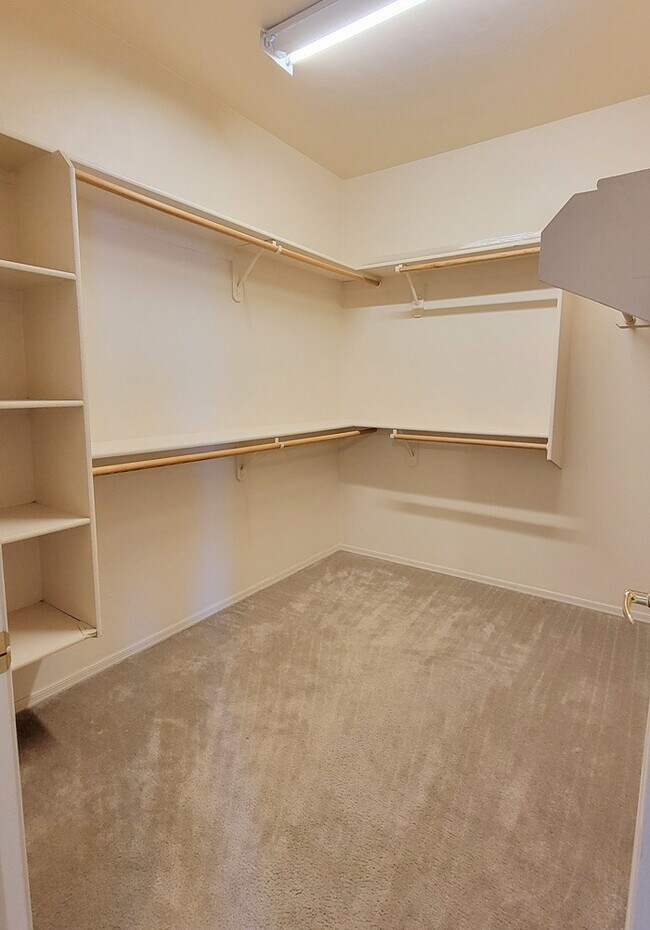 Building Photo - Pet friendly Civano home