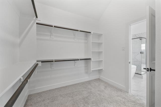 Building Photo - 3113 Summer Rain Ln