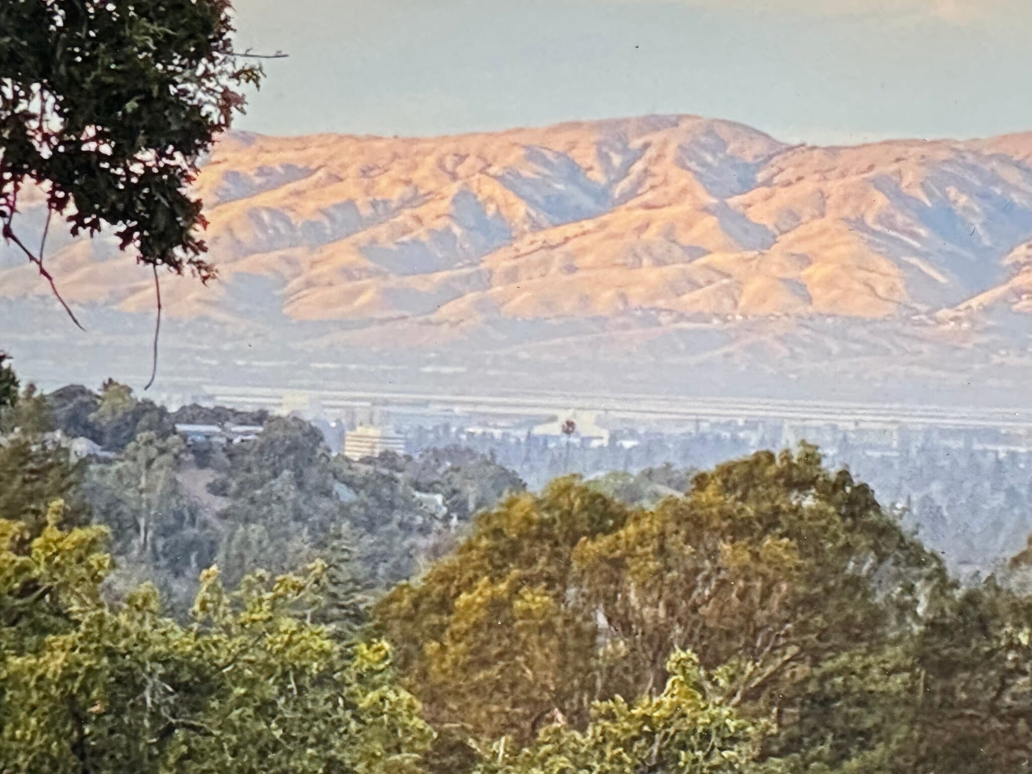 Building Photo - 25860 Altamont Rd