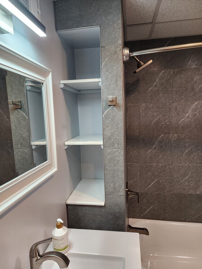 Bathroom Storage - 100 Manning Pl