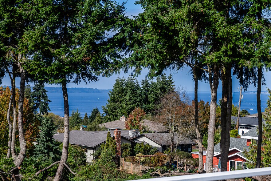 view from house - 22224 98th Ave W