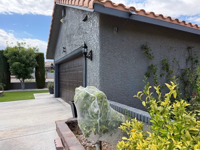 Building Photo - 9595 Bright Angel Way