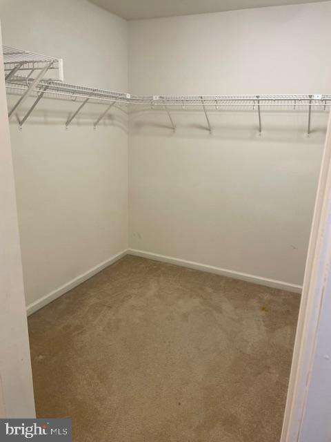 Building Photo - 8 Swan Ct