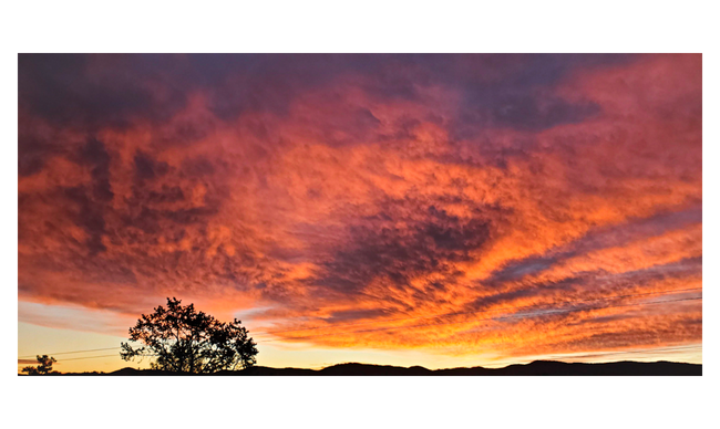 Building Photo - 2057 Heavenly Pl