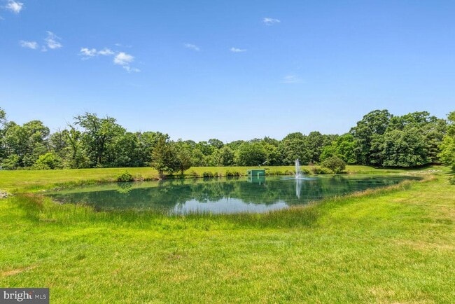 Building Photo - 11427 Potomac Oaks Dr