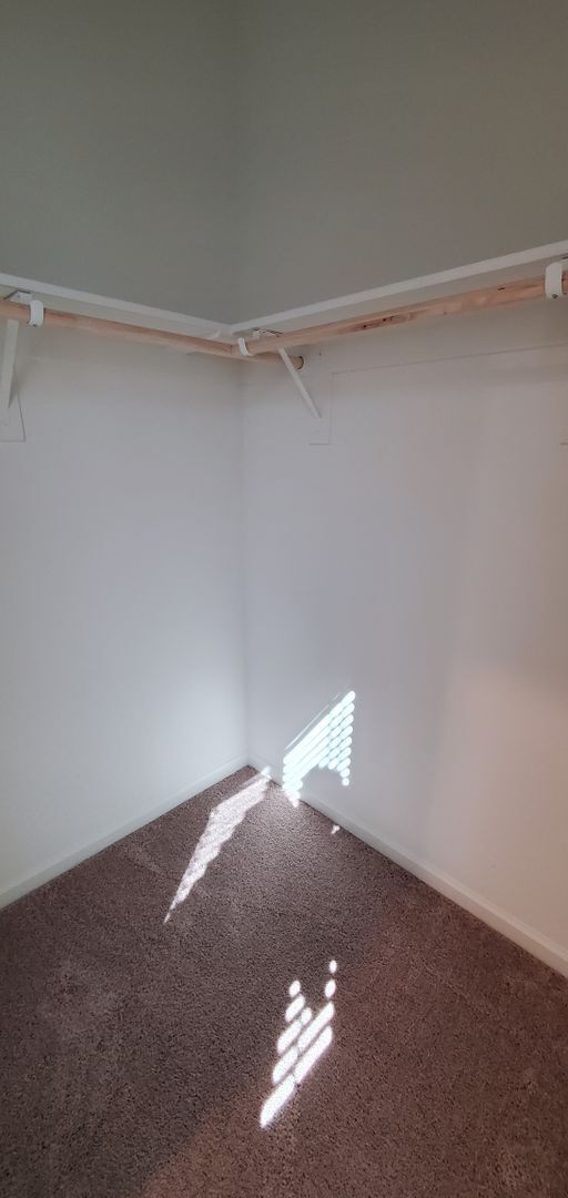 Building Photo - Brand New Lathrop Solar Power Single Story...