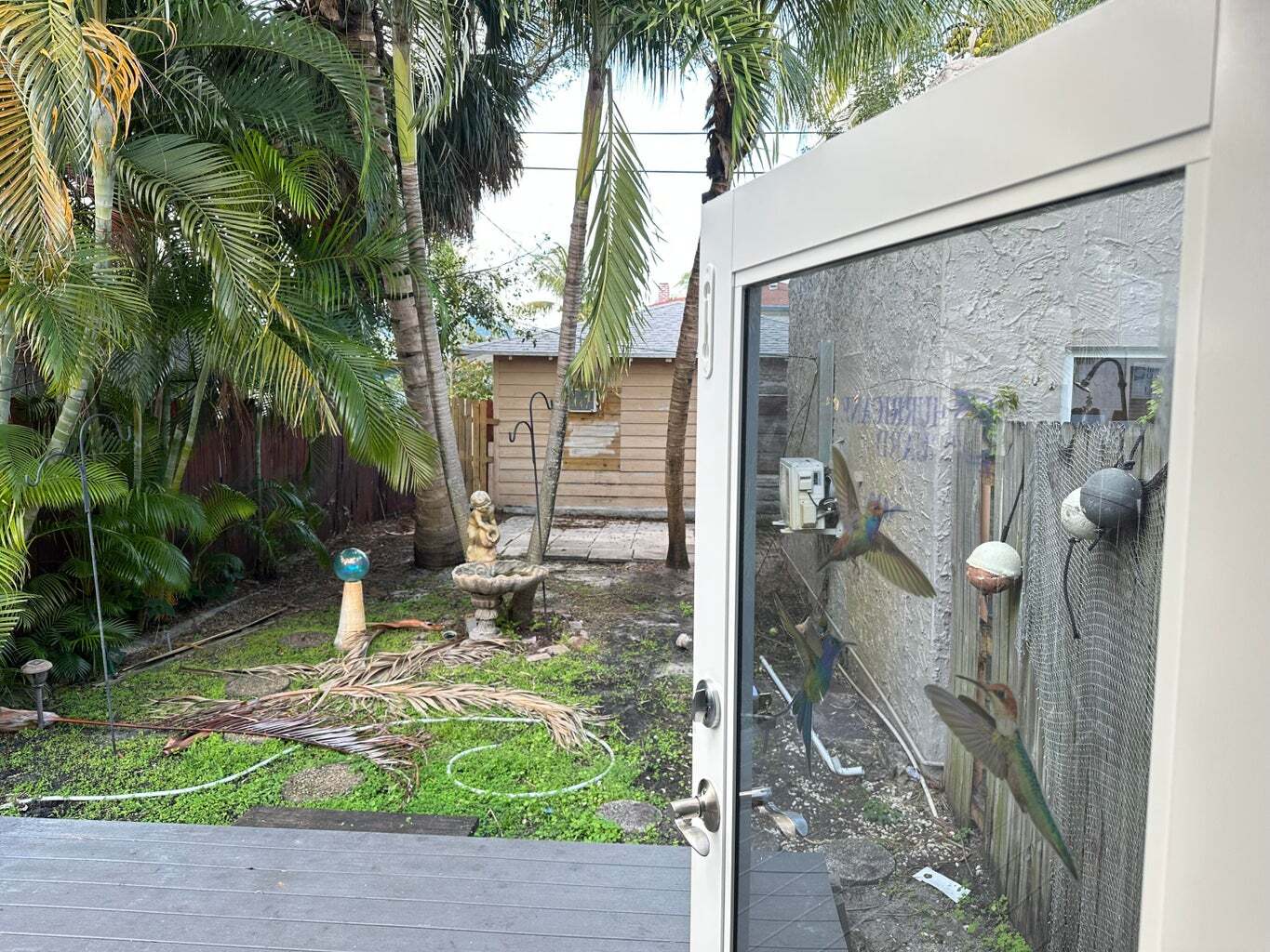 Building Photo - 611 El Vedado