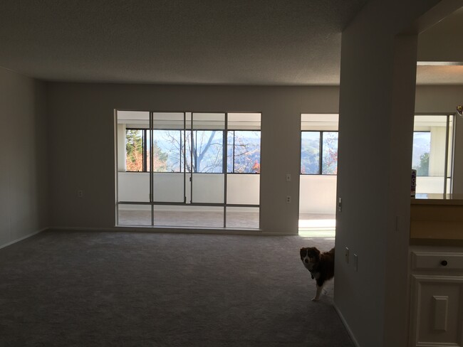 Large Open Living Room - 2501 Golden Rain Rd