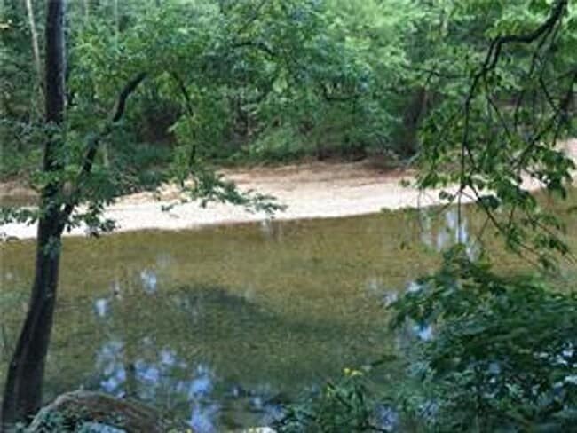 Building Photo - 48 Grisham Dr