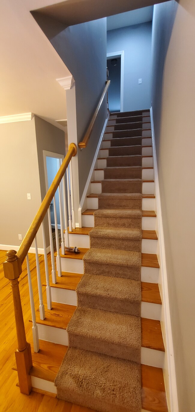 Half Bath off Hallway - 819 Brewer Ave