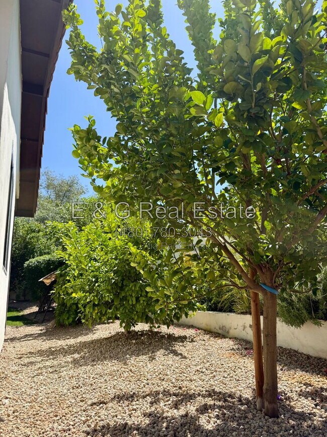 Building Photo - 8617 E Larkspur Dr