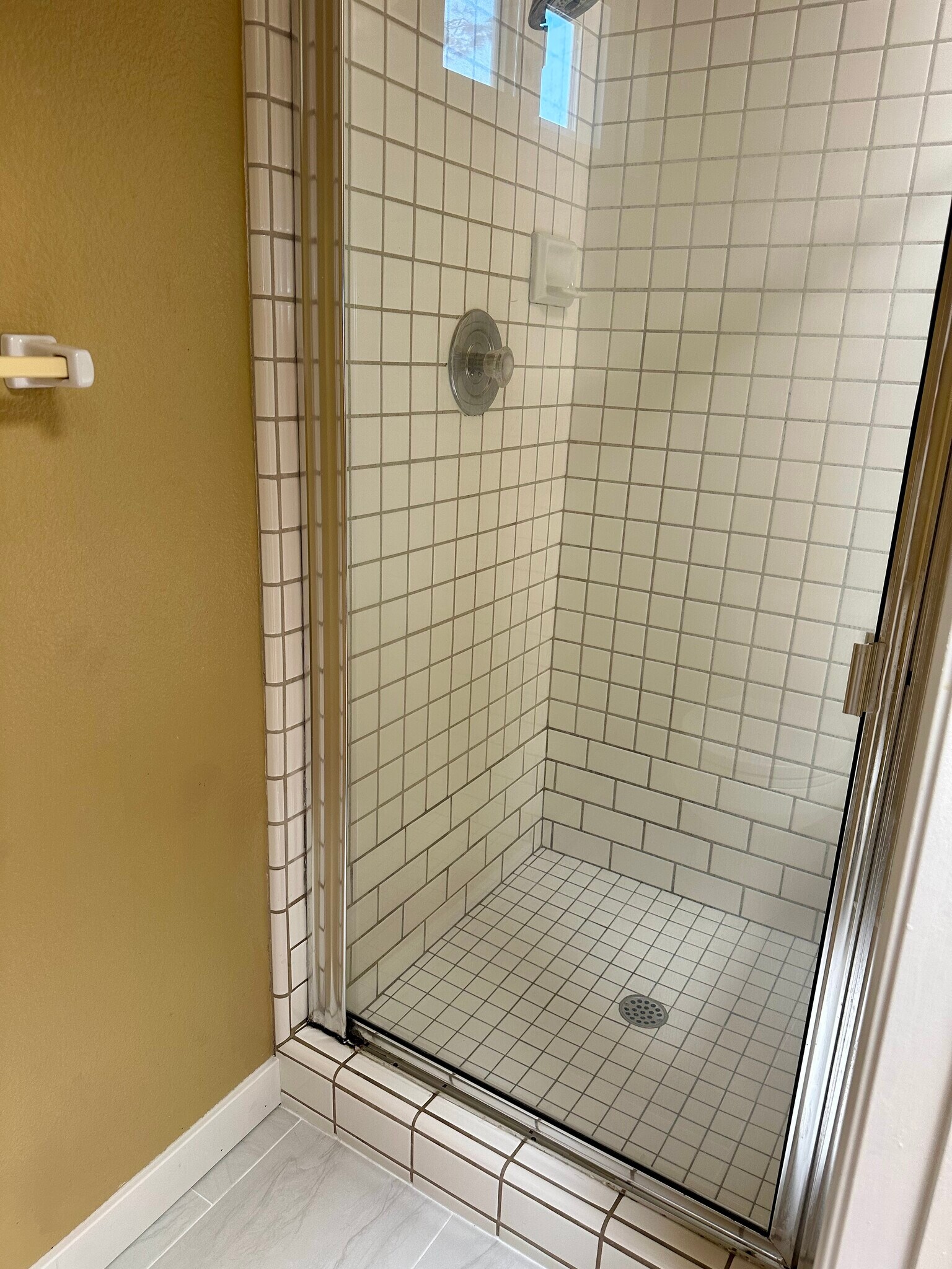 Master bedroom shower. - 1780 Crystal Ridge Way